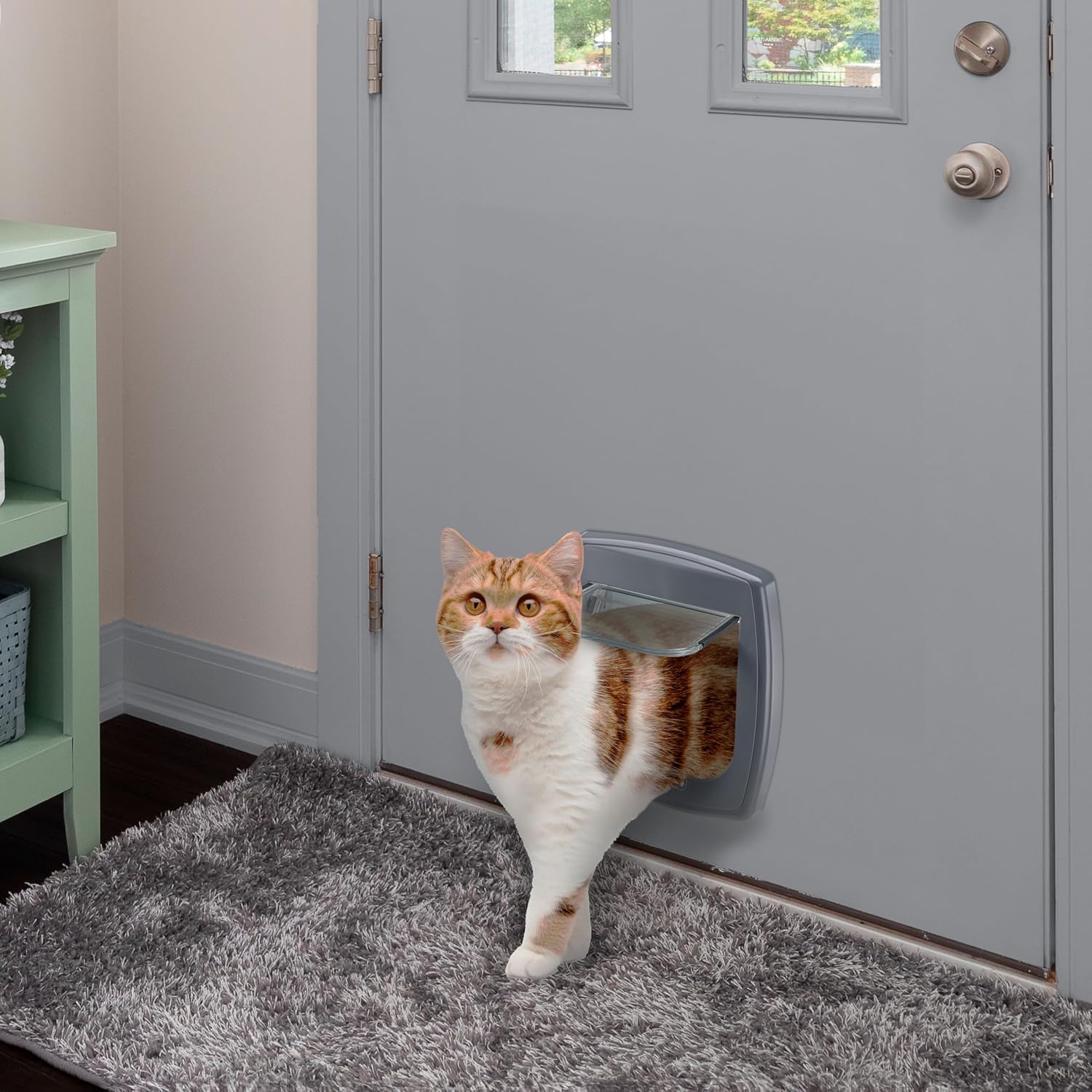 Ferplast Gattaiola per Cani di Taglia Media, Gattaiola per Gatti, Sportello per Animali Domestici a 4 Vie con Ingresso e Uscita Controllabili, con Protezione dalle Correnti d'Aria, Tunnel Completo, Sportello per Cani Swing 11, Grigio