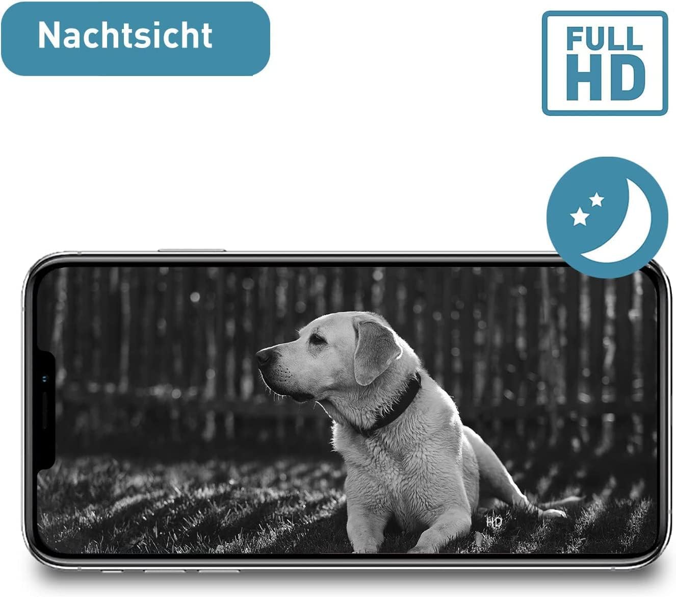 PetTec – Pet Cam Buddy Haustierkamera Futterautomat 8L für Katzen- & Hunde-Trockenfutter – Automatischer Futterspender mit WLAN & App-Steuerung -Inkl. 2-Wege-Audio, Bellerkennung & Nachtsicht