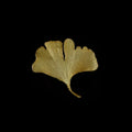 Ginkgo - Spilla