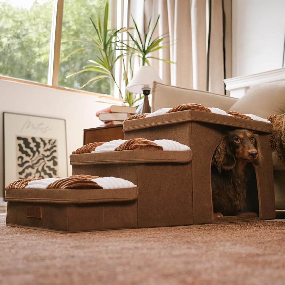 Scaletta multifunzionale per cani con vano portaoggetti e accogliente cuccia - Napsteps