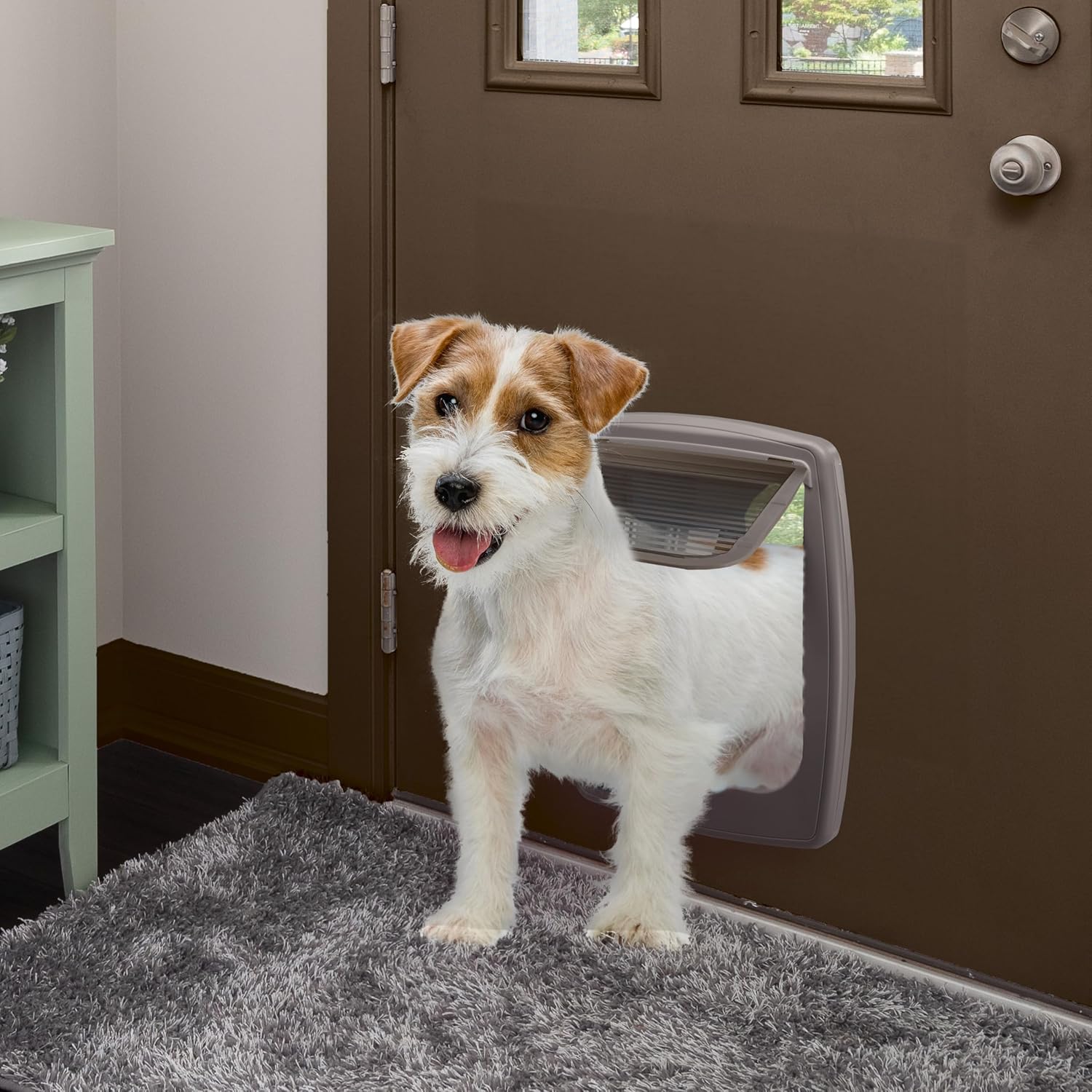Ferplast Gattaiola per Cani di Taglia Media, Gattaiola per Gatti, Sportello per Animali Domestici a 4 Vie con Ingresso e Uscita Controllabili, con Protezione dalle Correnti d'Aria, Tunnel Completo, Sportello per Cani Swing 11, Grigio