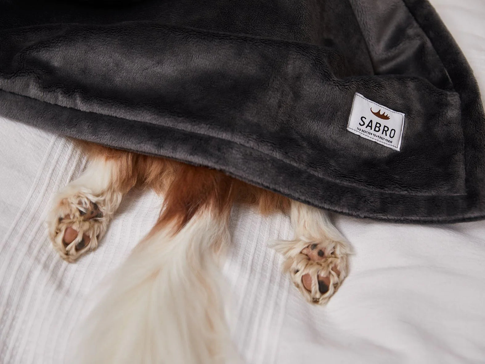 Coperta per cani Mynki