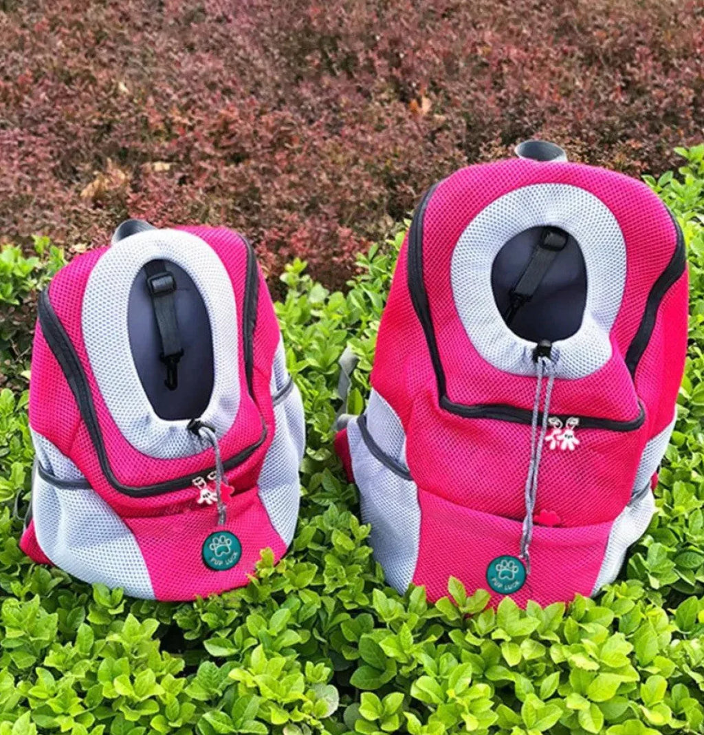 Verstellbarer Hunde-Tragerucksack für kleine & mittelgroe Hunde bis 11 kg – Komfort und Sicherheit unterwegs