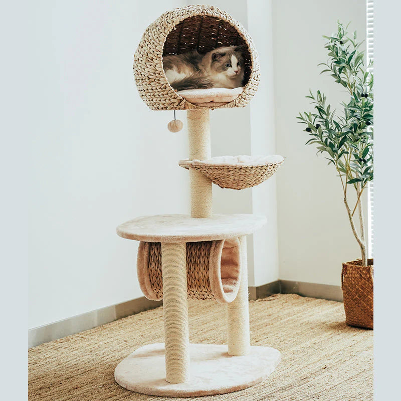 Vogelnest-Kratzbaum für Katzen – Der perfekte Ruhe- und Spielplatz für Ihre Katze