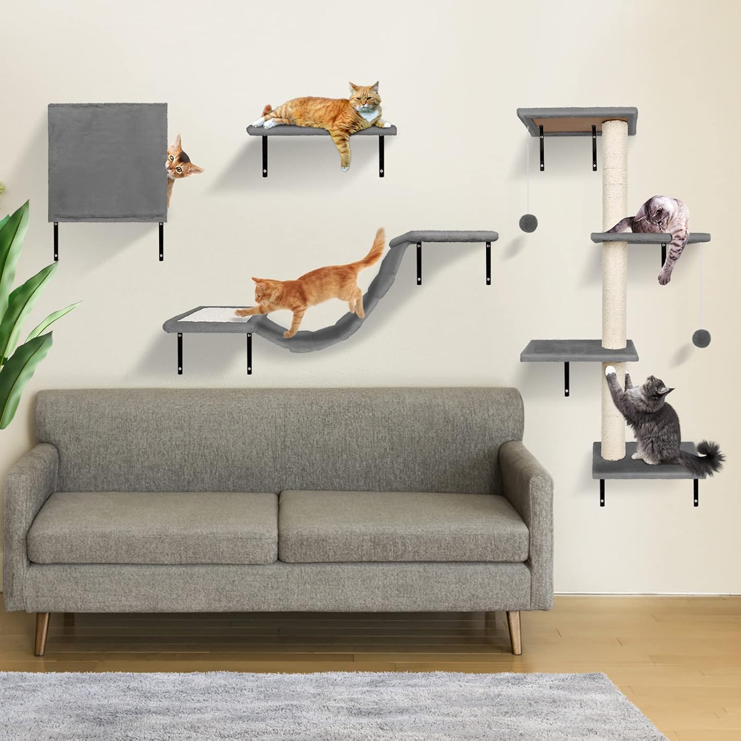 Die zvondema wand aus zehn tonbeinigen streegen, eine rollcat-brücke, eine kissenschlacht mit schwerem griff, ein spielegeländer, ein Trace ball und eine katzen-kletterwand bis zum kilogramm