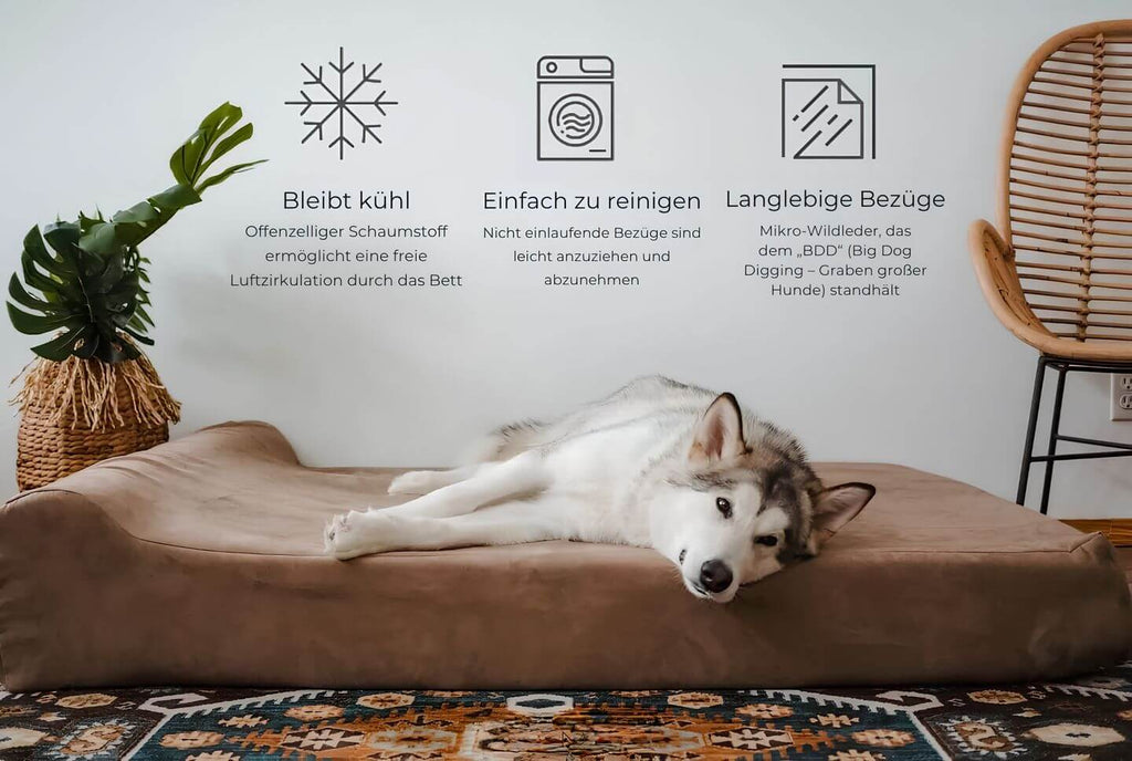 CozyNest – Lussuosa cuccia per cani di taglia grande con comfort e stile