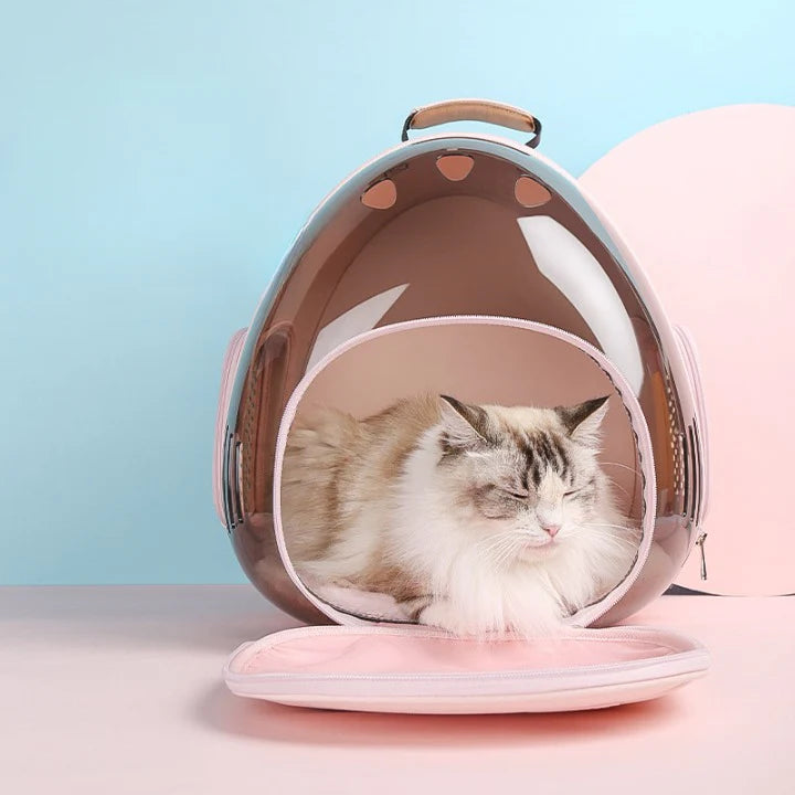 PetPorter – Gerumige und atmungsaktive Katzentransporttasche mit modernem Design