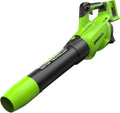 Greenworks Soffiatore assiale a batteria 48V (2x24V) con motore brushless, funzione turbo, 217 km/h, 16,4 m³/min, PIÙ due batterie da 24V 2Ah e caricabatterie, 3 anni di garanzia GD24X2ABK2X