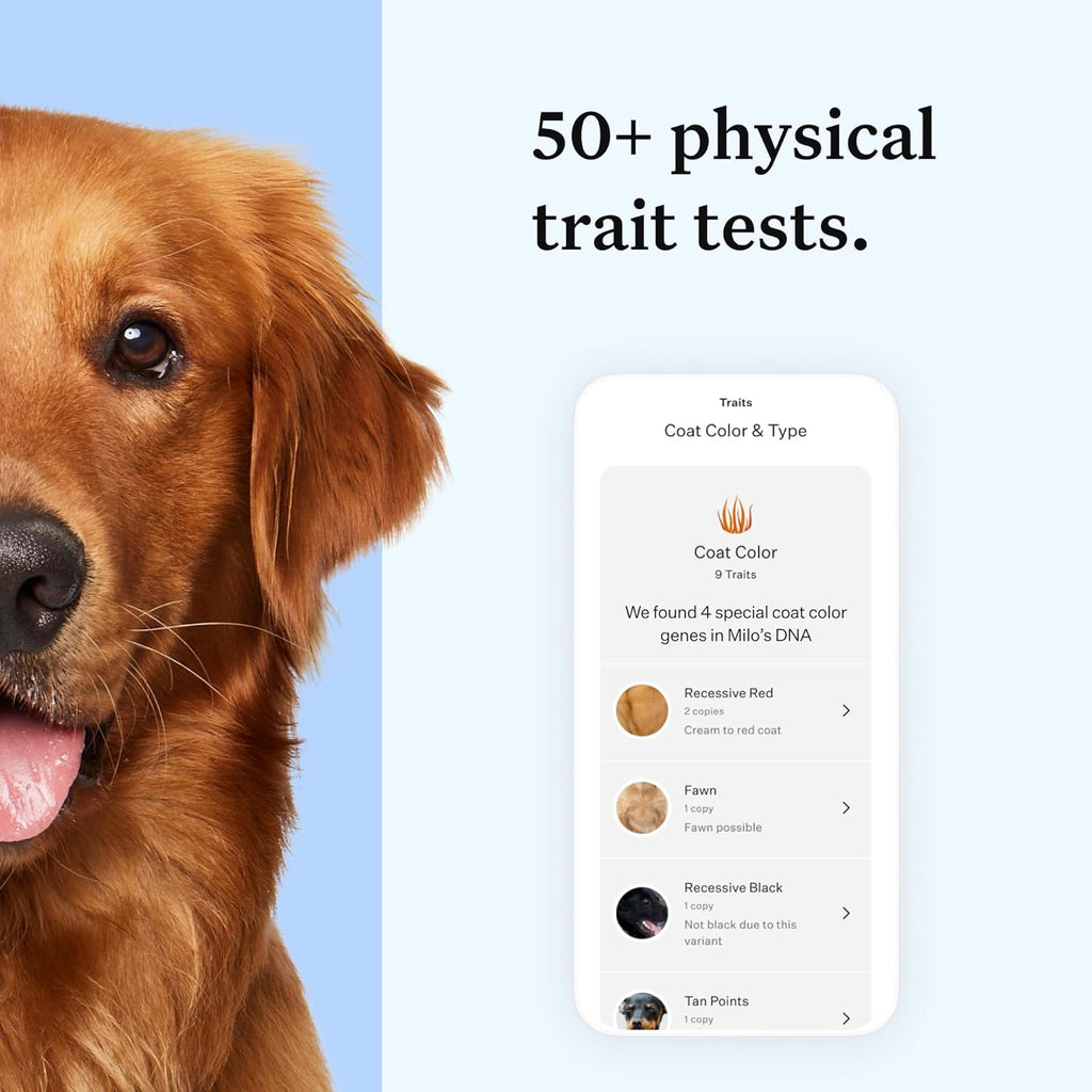 Wisdom Panel Essential Hunde DNA-Kollektorset