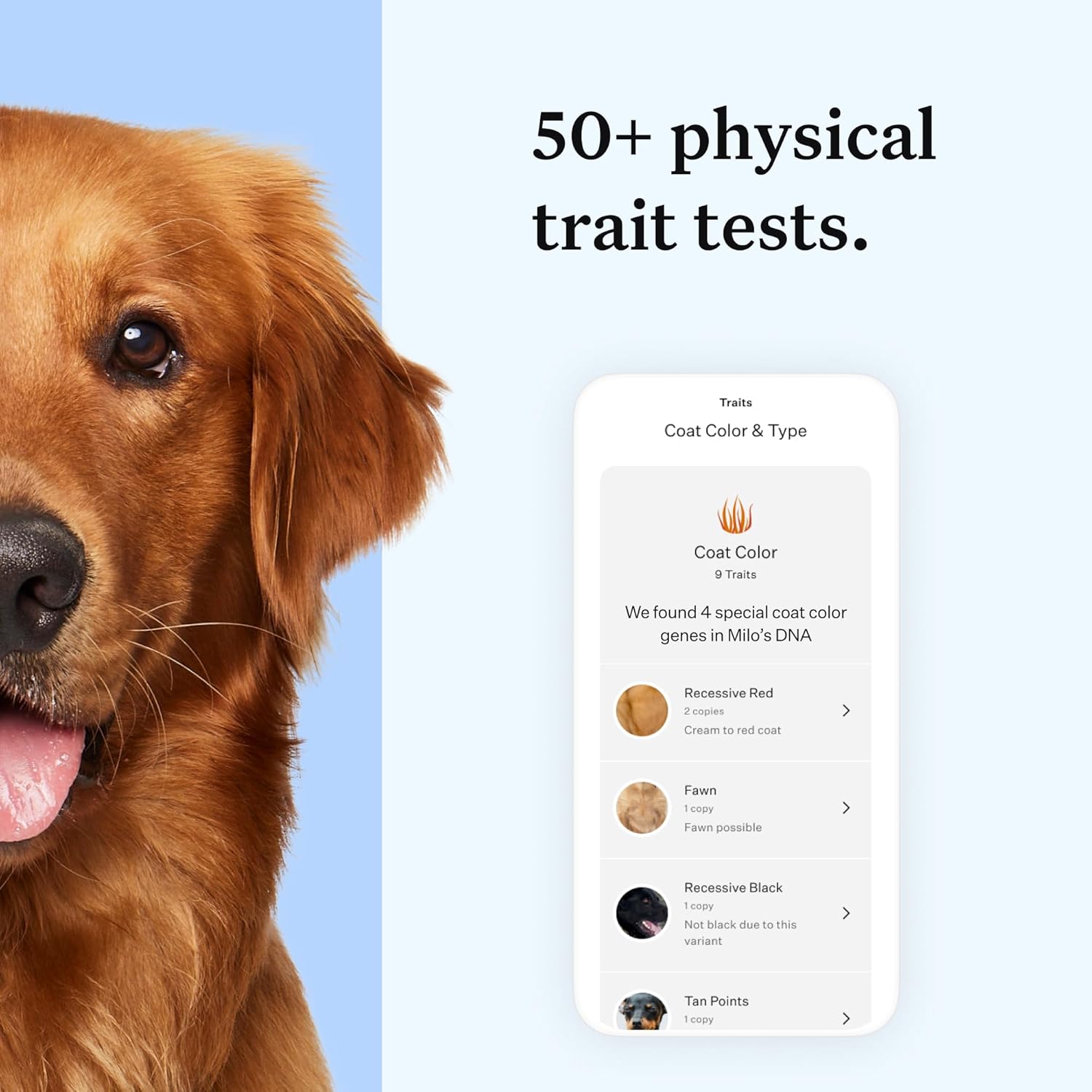 Wisdom Panel Essential Hunde DNA-Kollektorset