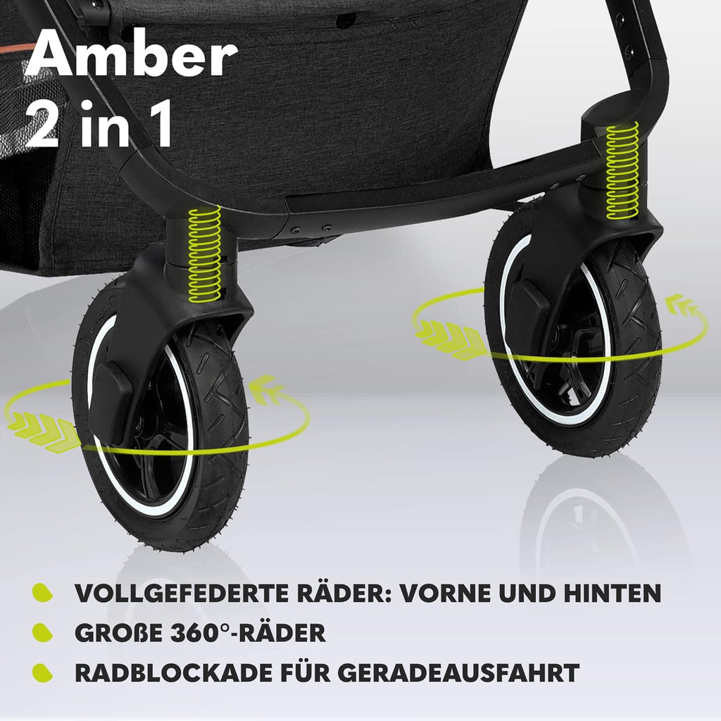 LIONELO Amber Kinderwagen 2 in 1 Kombikinderwagen, Kinderwagen Set mit sportlichen Sitz und fester Babywanne, Tasche, Moskitonetz, Abdeckung Regenblatt (Graphit)