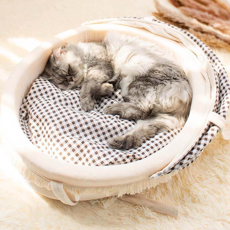 CozyPaws – Komfortables Halb-Katzenbett für entspannte Nickerchen