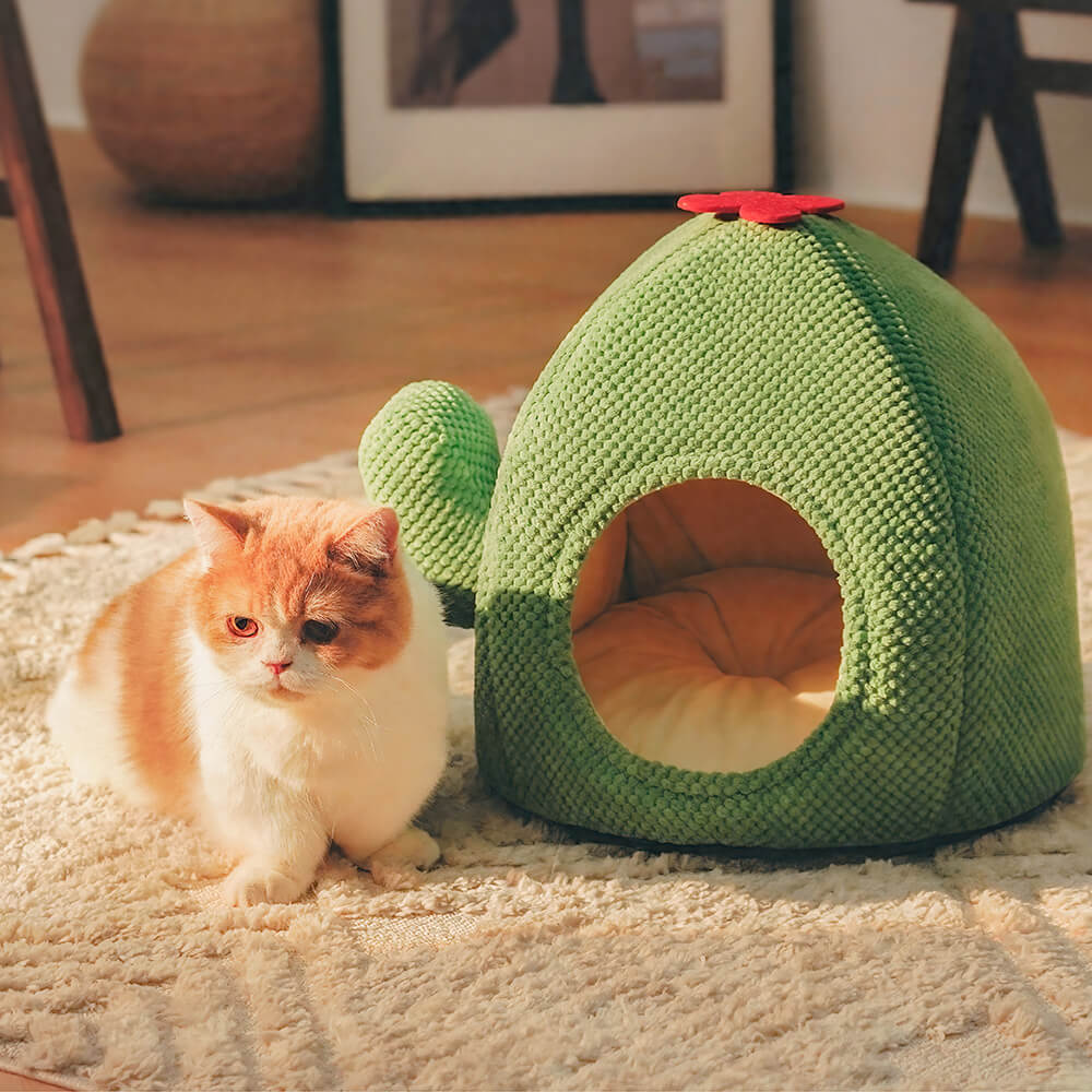 KatzenOase – Cestino a forma di cactus per ore di sonno accoglienti per i gatti