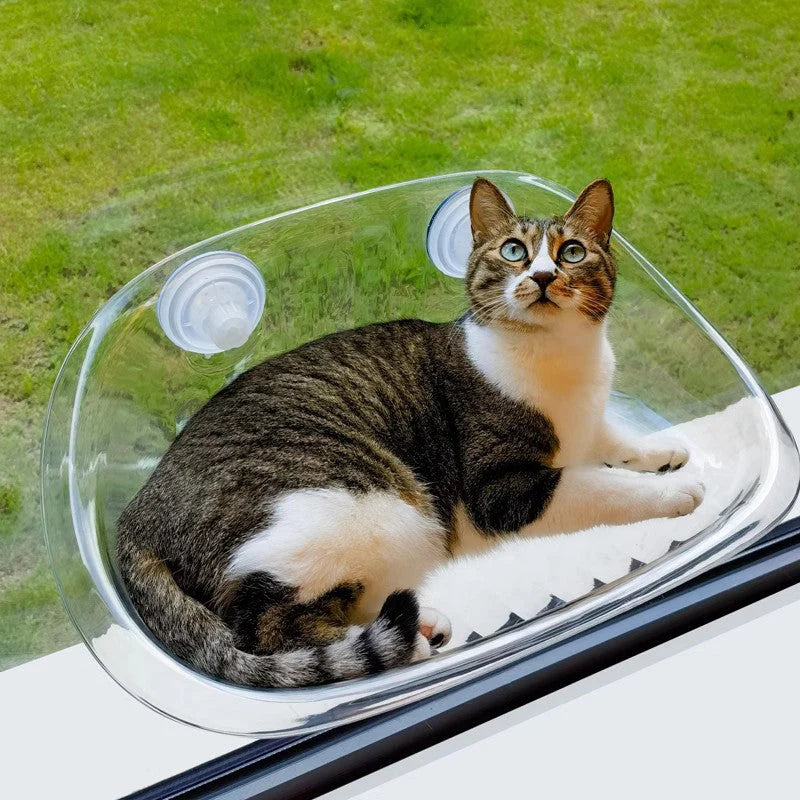 Fensterliege für Katzen