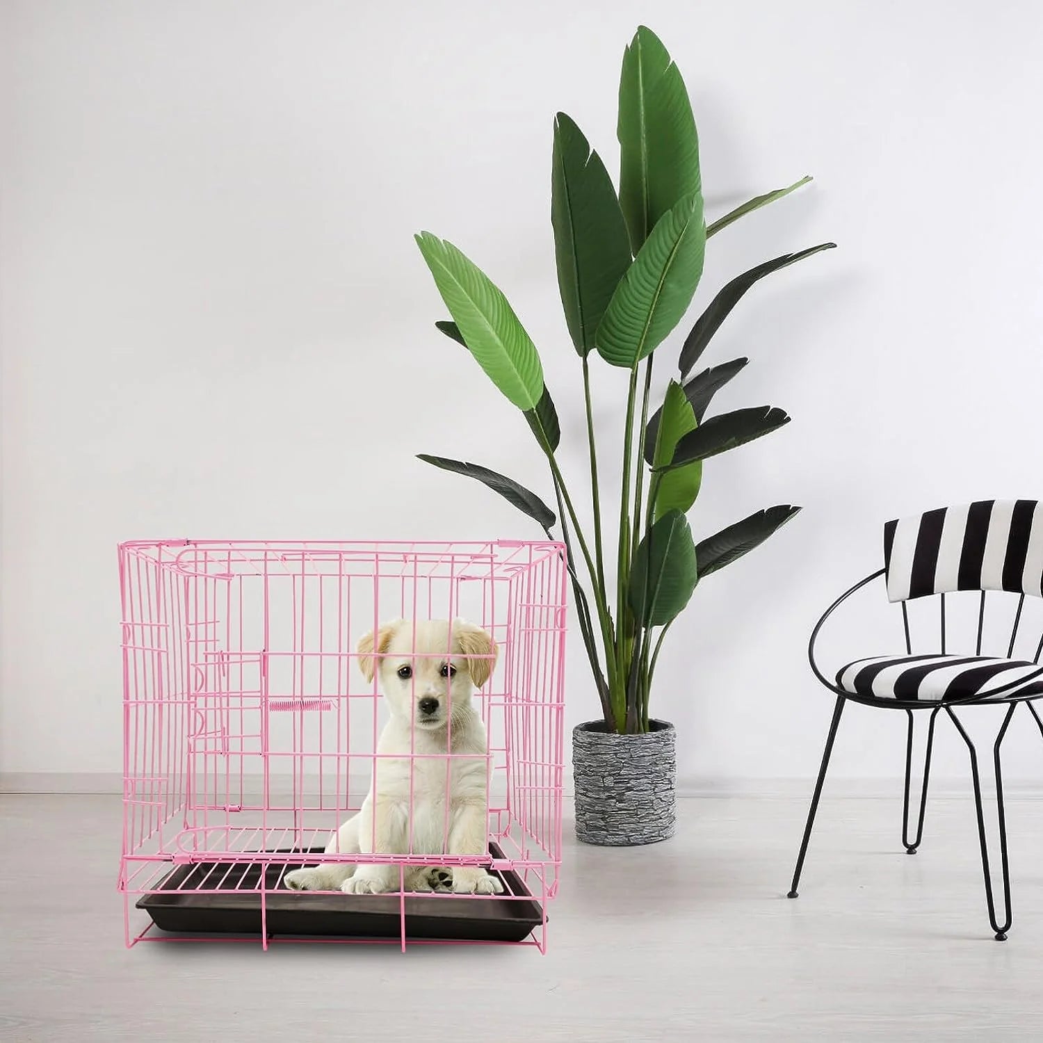 Trasportino pieghevole per cani da interno – Comfort e sicurezza