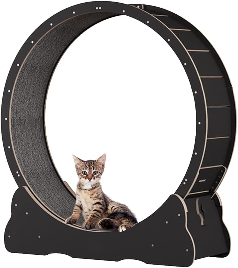 Keyzone Laufrad für Katzen, 1100 x 345 x 1170 mm Laufband für Katzen, Laufband mit Teppichboden, Fitnessgerät zur Gewichtsabnahme, Sportspielzeug für Katzen, für EIN längeres Leben der Katze