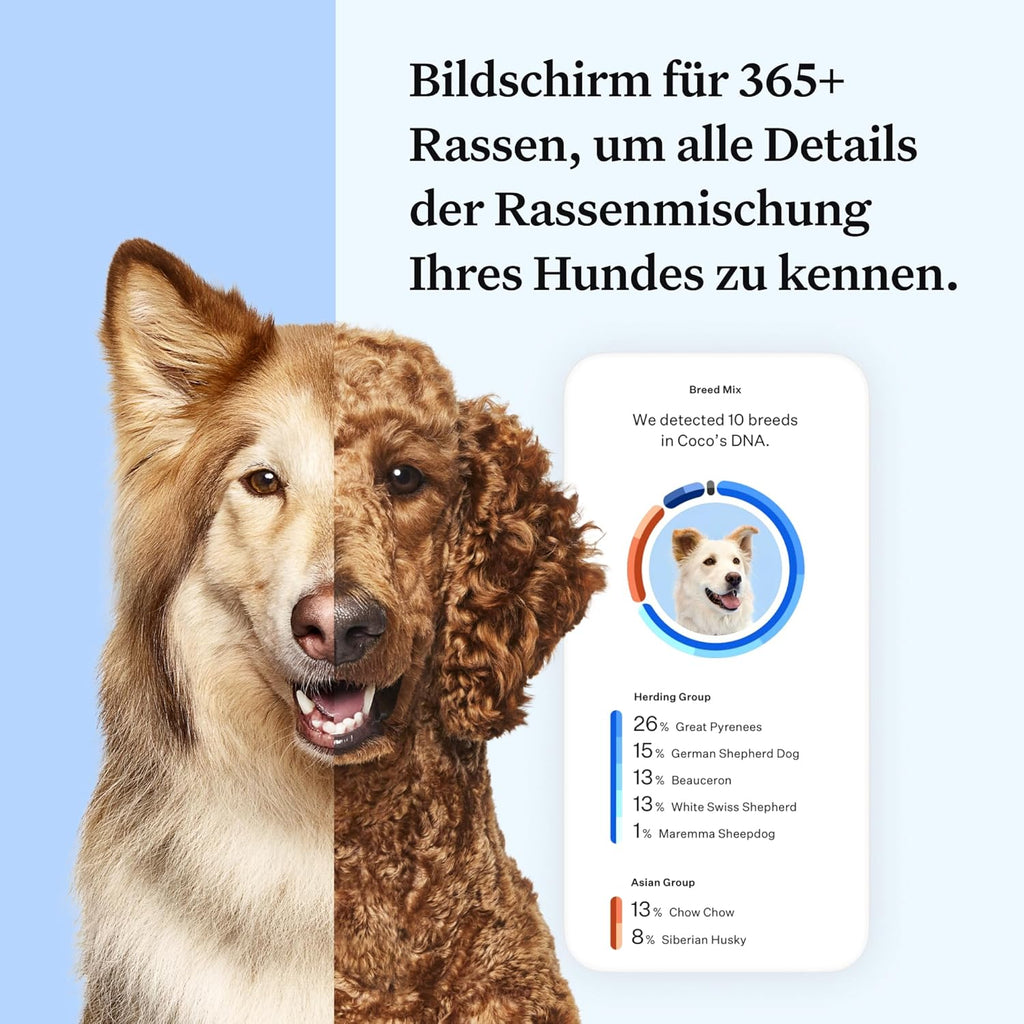 Wisdom Panel Essential Hunde DNA-Kollektorset