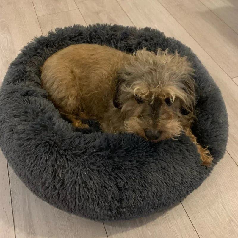 Cuccia per Cani Luna Soffice e Calmante - Cuscino Rotondo per Cani Piccoli, Medi e Grandi