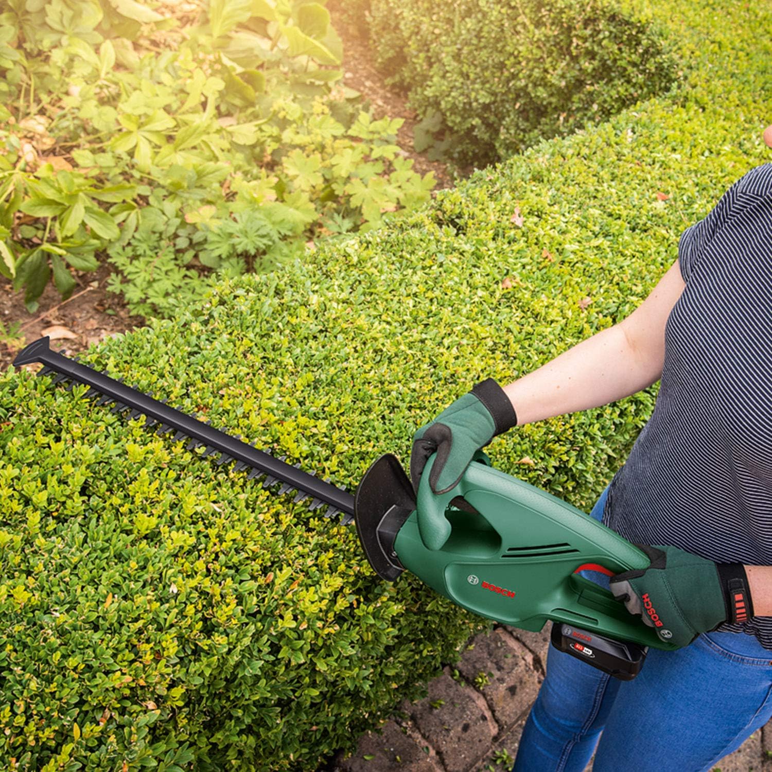 Bosch Akku Heckenschere EasyHedgeCut 18-45 (2 Akkus 2,0 Ah, 18-Volt-System, Messerlänge 45 cm, im Karton)