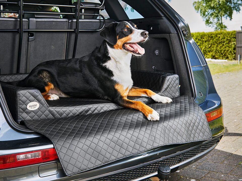 Auto Hundebett Vagn