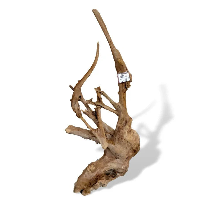 RUSTIC ROOT Radice Decorativa Sule