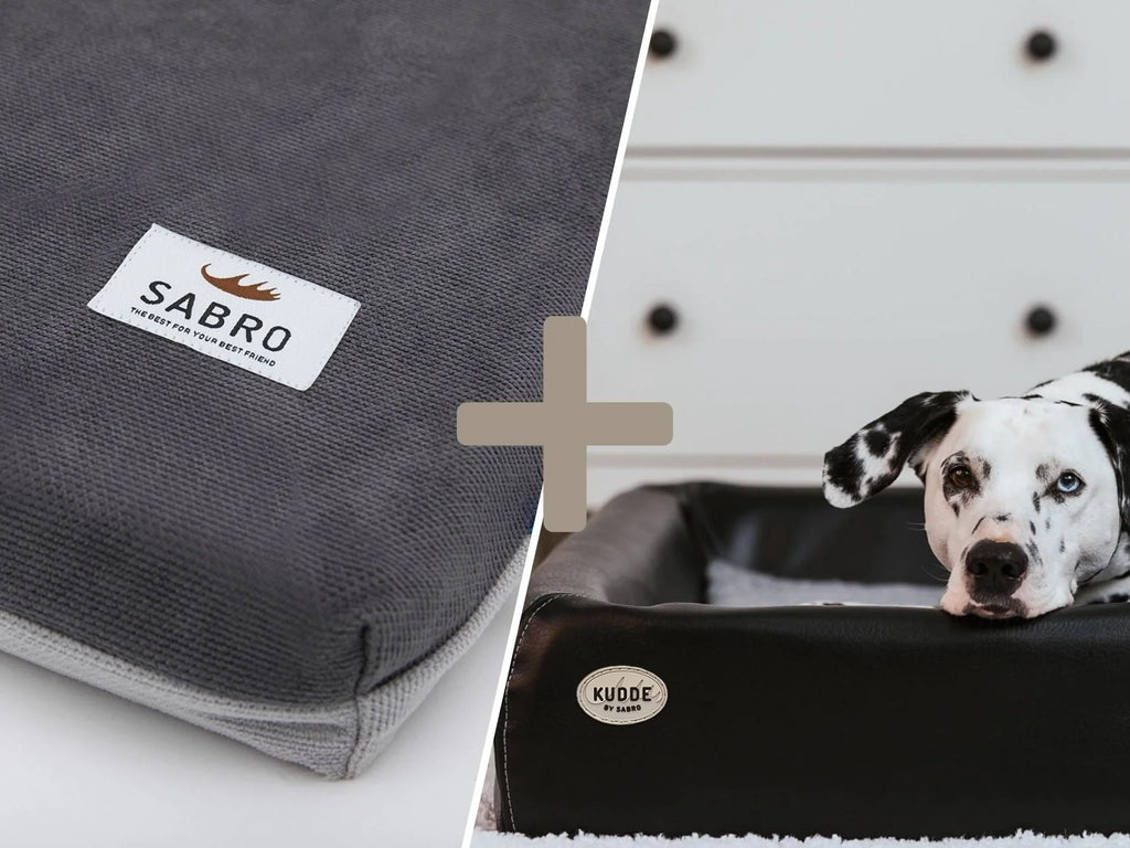 Pacchetto Orthopdisch-Plus | Cuccia KUDDE + Materassino Mumin Alltid
