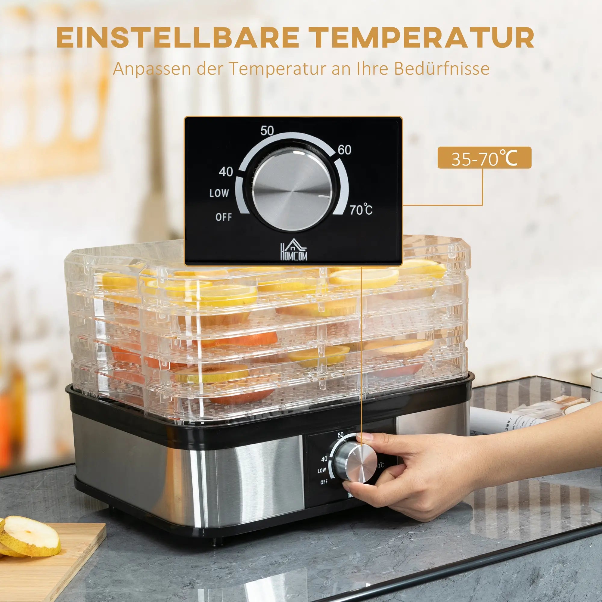 HOMCOM Essiccatore per Alimenti a 5 Livelli con Temperatura Regolabile in Acciaio Inox