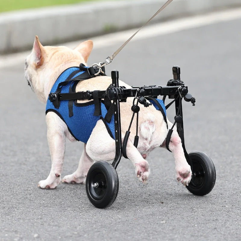 Rollstuhl für Hunde – Mobilitt und Freiheit für Ihren Vierbeiner