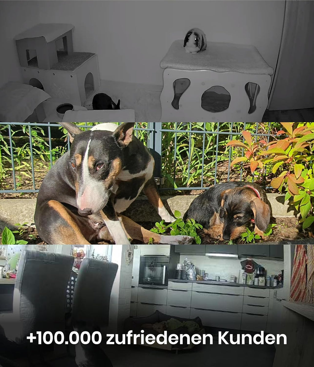 PetTec – Pet Cam Buddy Haustierkamera Futterautomat 8L für Katzen- & Hunde-Trockenfutter – Automatischer Futterspender mit WLAN & App-Steuerung -Inkl. 2-Wege-Audio, Bellerkennung & Nachtsicht