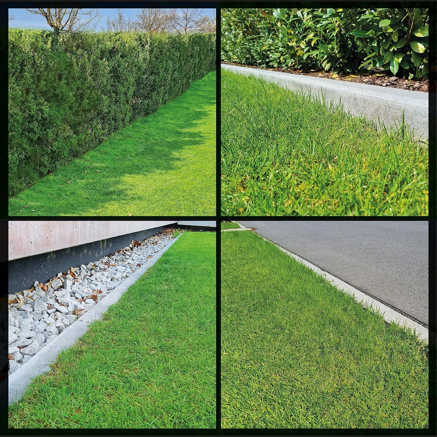 Einhell Akku-Rasenmher GE-CM 43 Li M Kit Power X-Change (36V, 43 cm Schnittbreite, bis 600 m, Brushless, Mulch-Kit, 63L Fangkorb, 25-75 mm Schnitthhe, inkl. 2x 4,0Ah + 2x Ladegert)