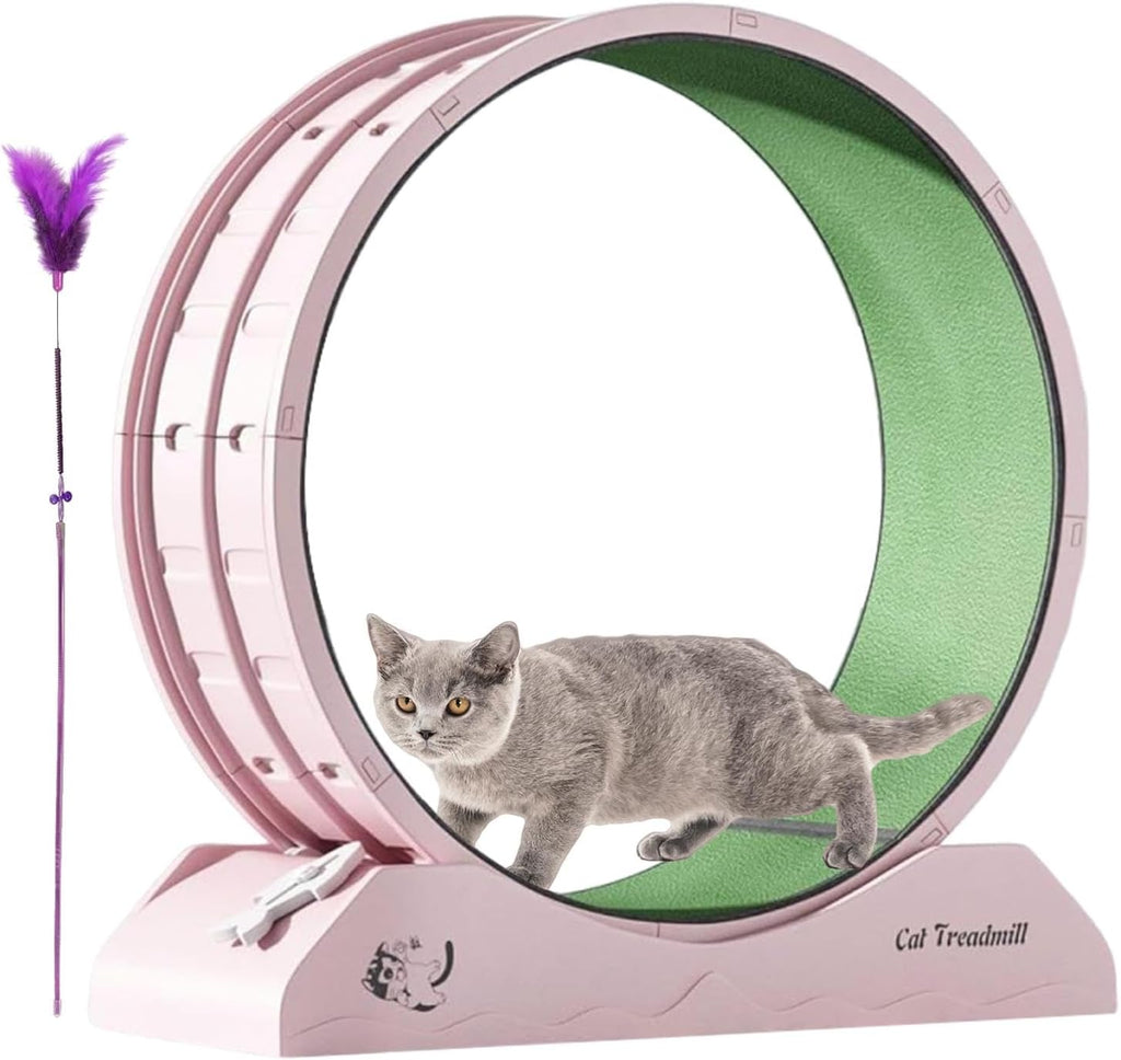 Eventerde Ruota per esercizi per gatti - Ruota per gatti | Attrezzatura da fitness per gattini | Ruota da corsa con teaser per gatti da interni per la perdita di peso, Tapis roulant per gattini a basso rumore