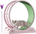 Eventerde Ruota per esercizi per gatti - Ruota per gatti | Attrezzatura da fitness per gattini | Ruota da corsa con teaser per gatti da interni per la perdita di peso, Tapis roulant per gattini a basso rumore