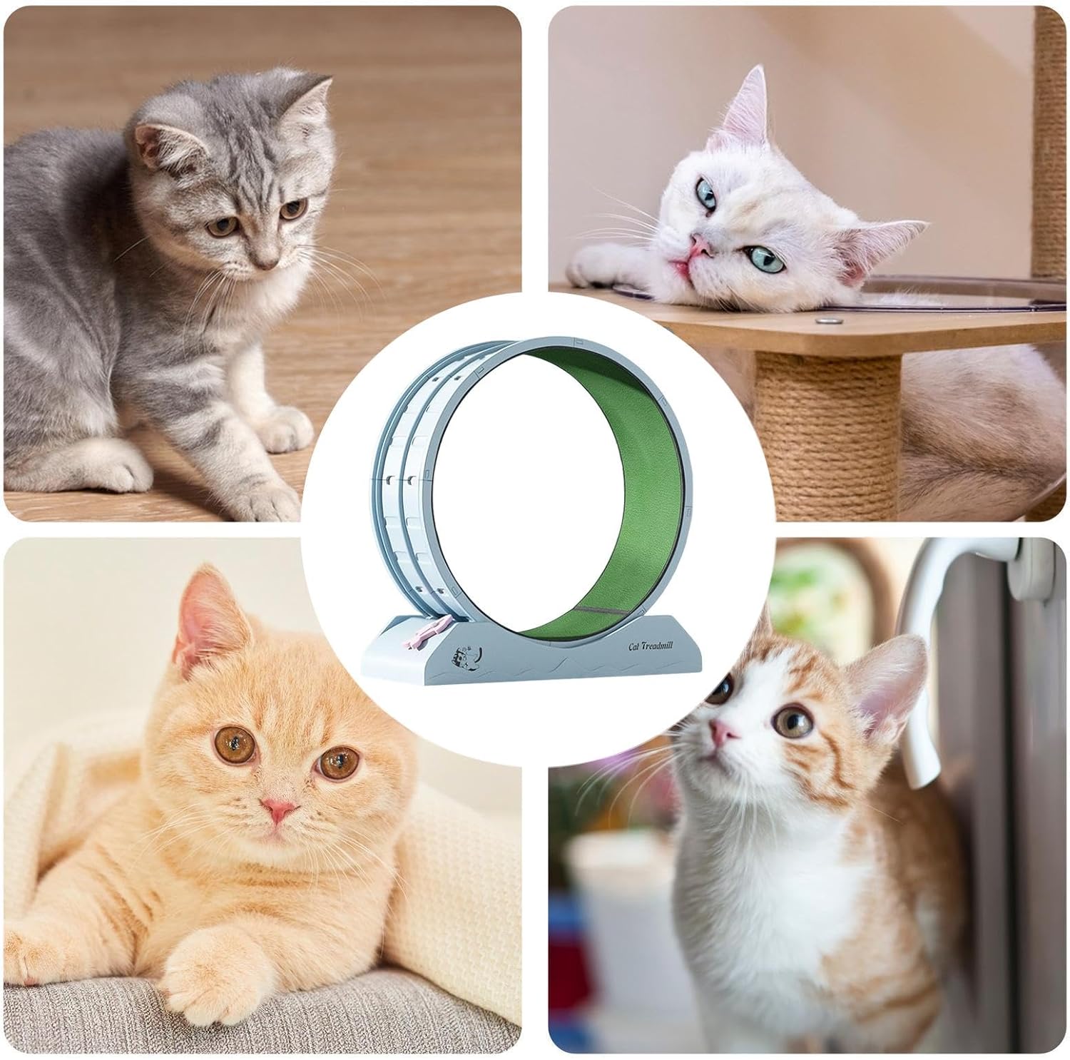 Eventerde Ruota per esercizi per gatti - Ruota per gatti | Attrezzatura da fitness per gattini | Ruota da corsa con teaser per gatti da interni per la perdita di peso, Tapis roulant per gattini a basso rumore