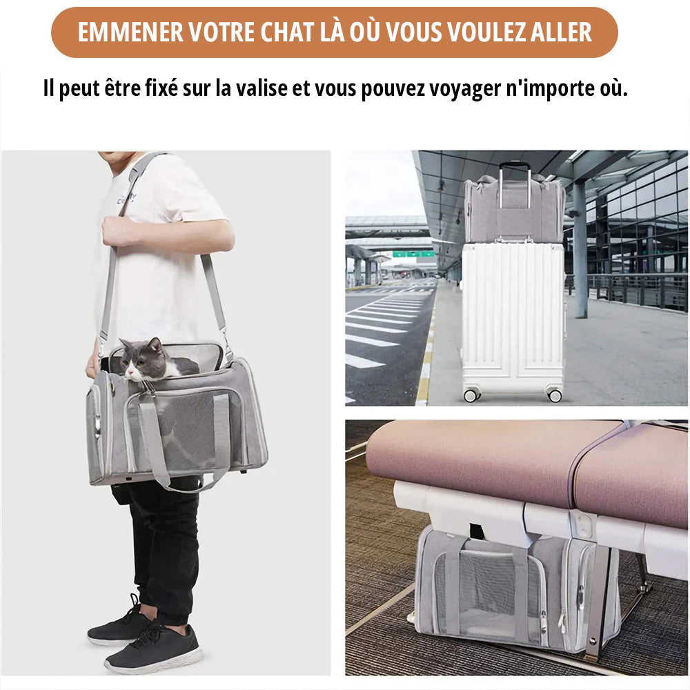 HundeJoy Trasportino per Gatti – Il Compagno di Viaggio Perfetto