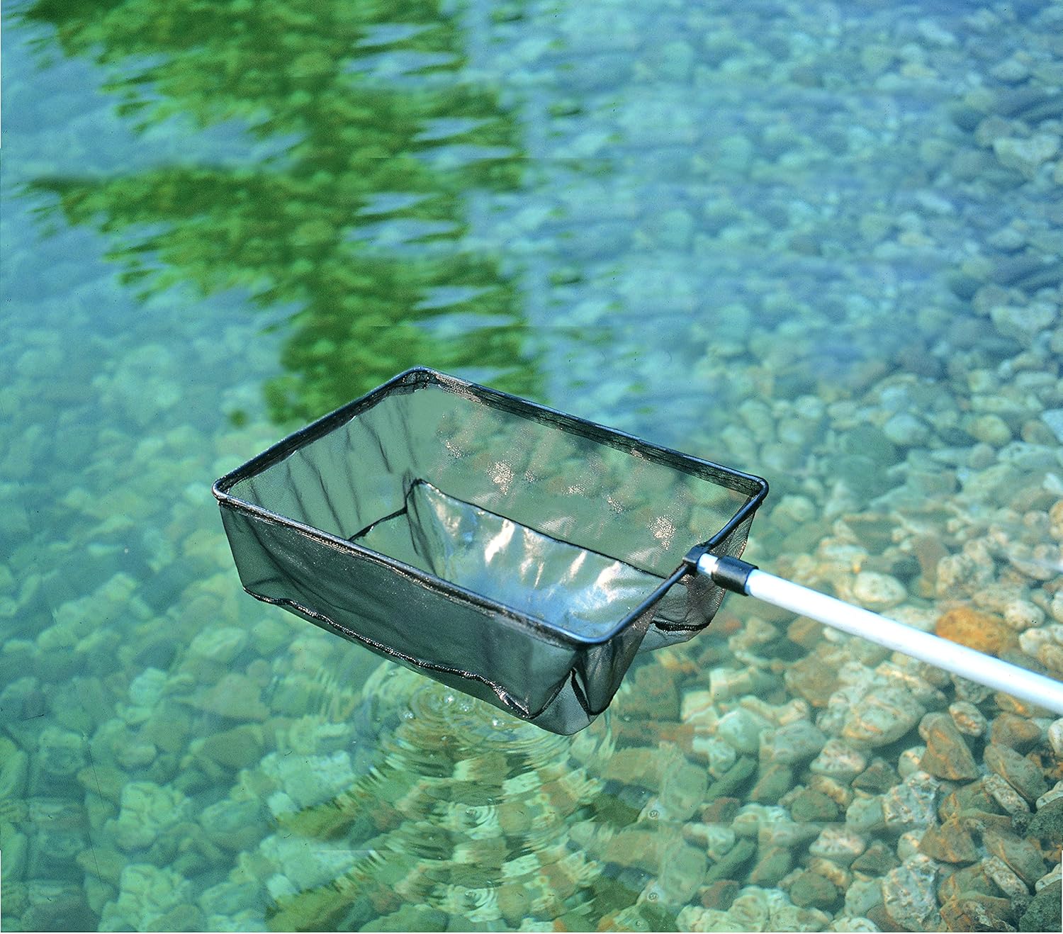 Oase 50170 SwimSkim CWS & Söll 14432 FilterstarterBakterien hochreine Mikroorganismen für Teiche 500 g - natürliche Filterbakterien aktivieren die Biologie der Filter im Gartenteich