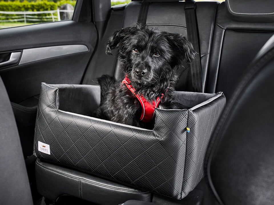 Hunde Autositz Rida
