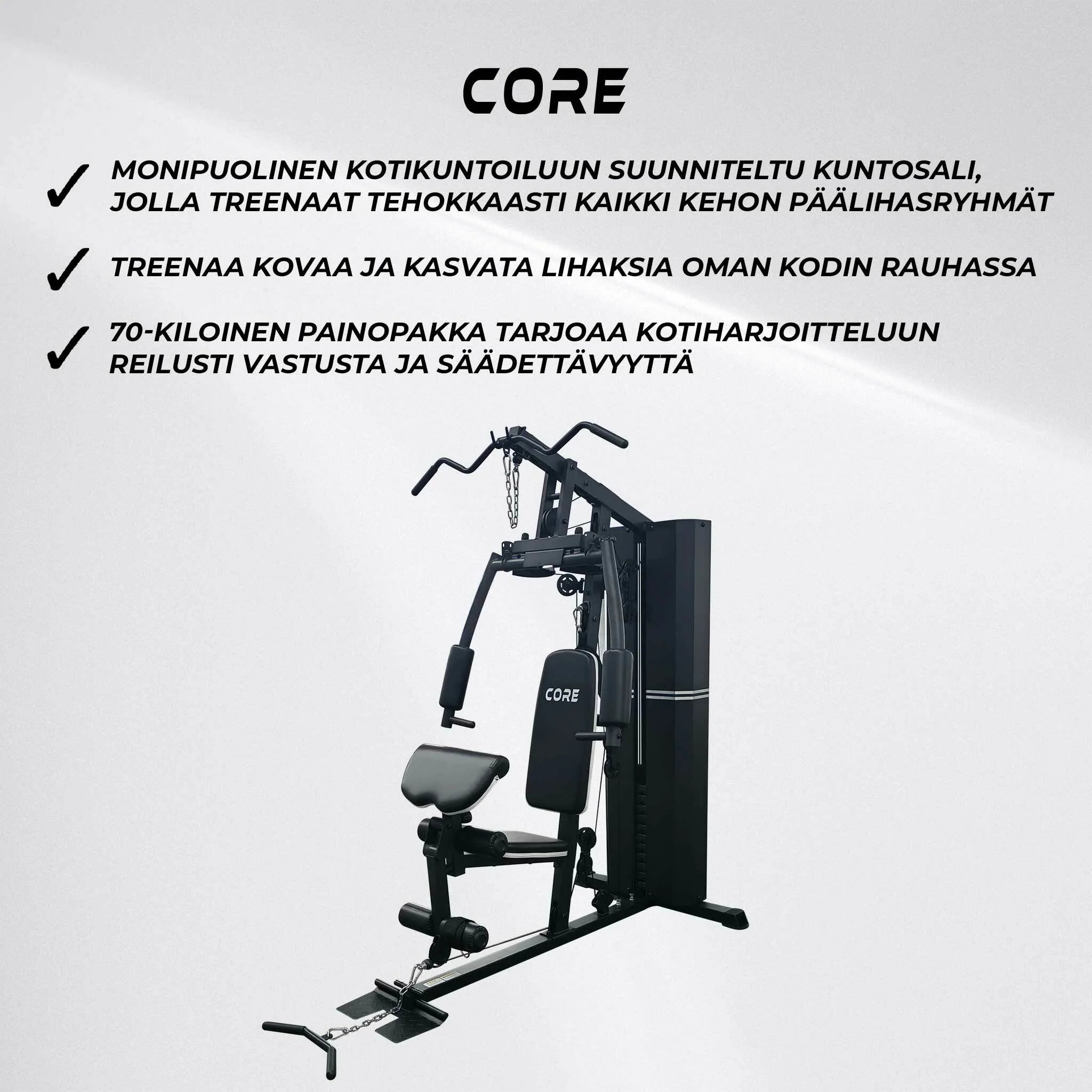 Core Kraftstation 70 kg