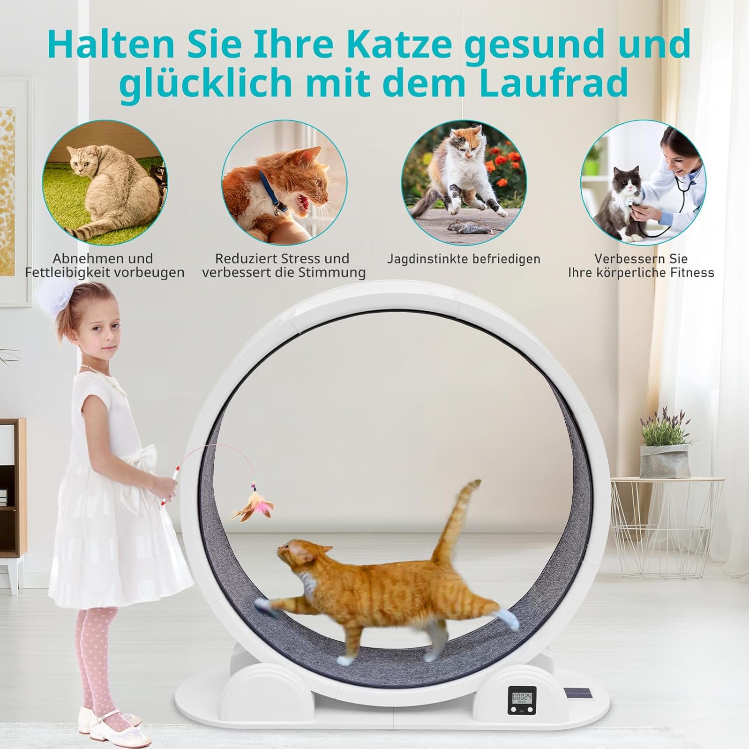 FASNATI 104cm Katzenlaufrad mit Schrittzähler, Geräuschfreies bis 25kg, Katzen Laufrad XXL mit Austauschbarer Teppichlaufbahn, Katzenrad Leise, Laufrad für Große Katzen