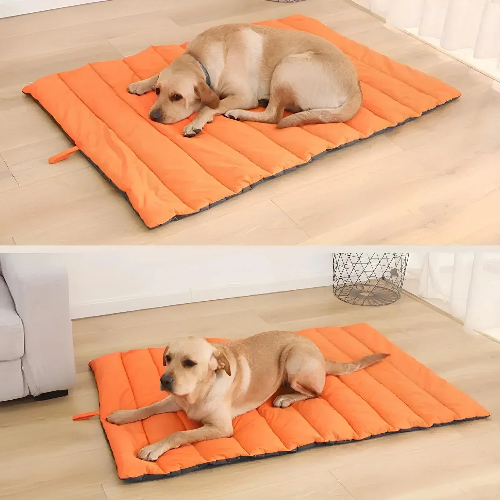 Tappetino impermeabile per cani da esterno – Ideale per giardino e terrazzo
