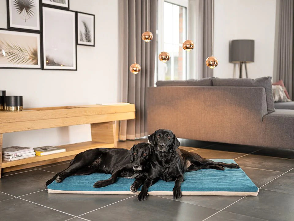 Tappeto per cani Jokkmokk Alltid