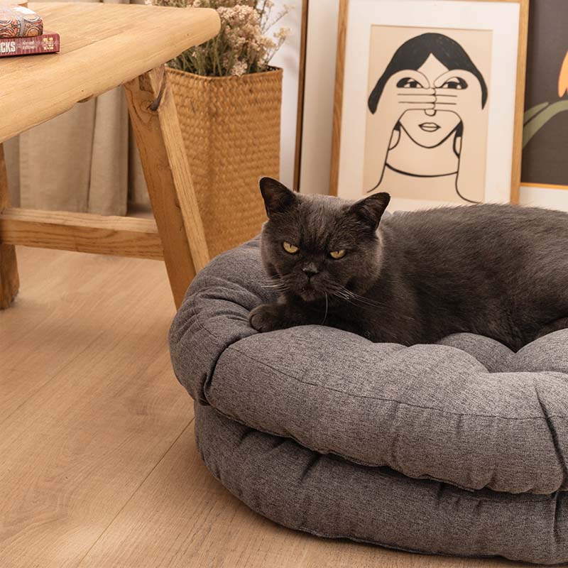 KatzenKuschel – Weiche Baumwoll-Sitzkissen für stilvolle Entspannung deines Haustiers