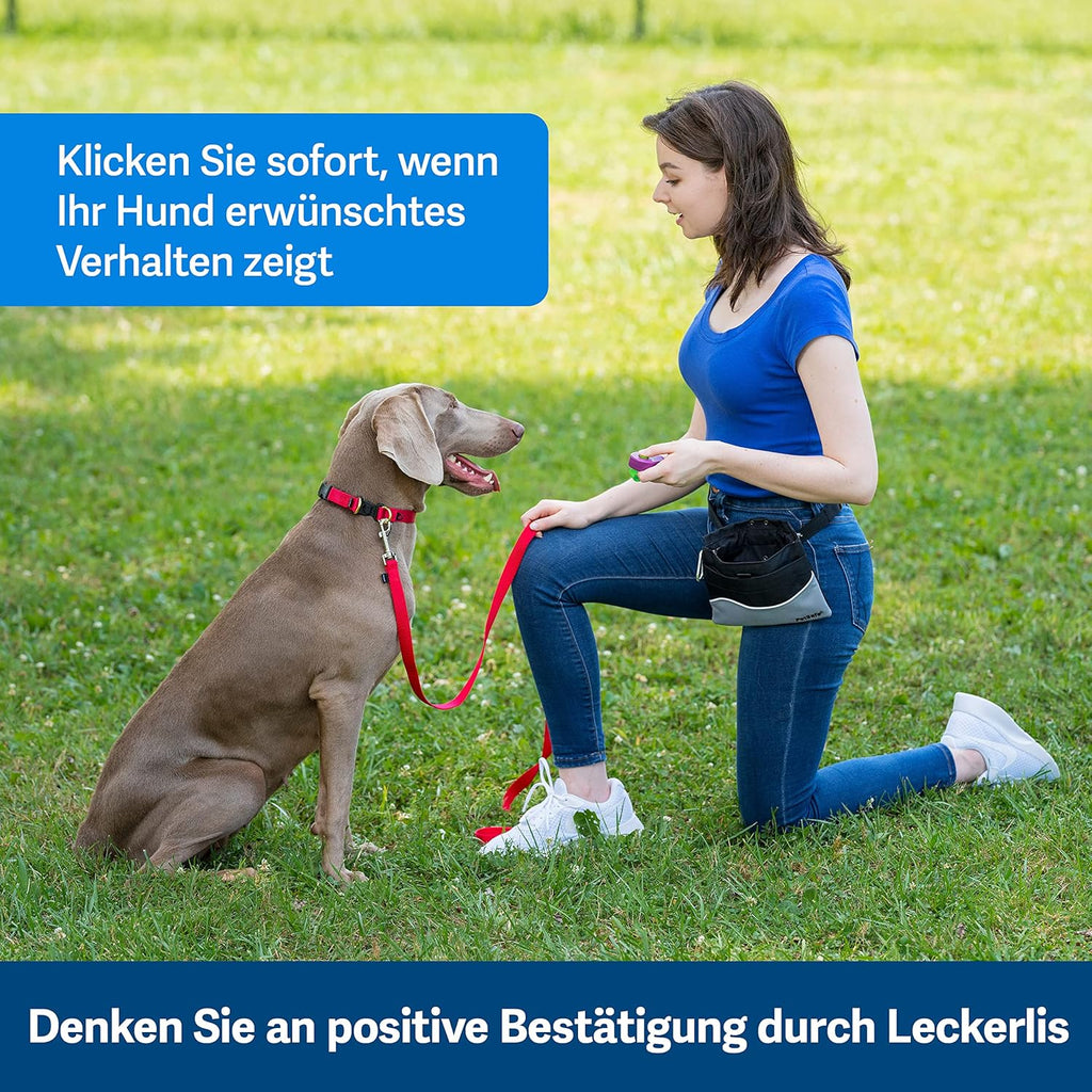 PetSafe Teach and Treat, distributore di premi per addestramento cani, telecomandato, per addestramento e rinforzo positivo, richiede 4 batterie D, grigio