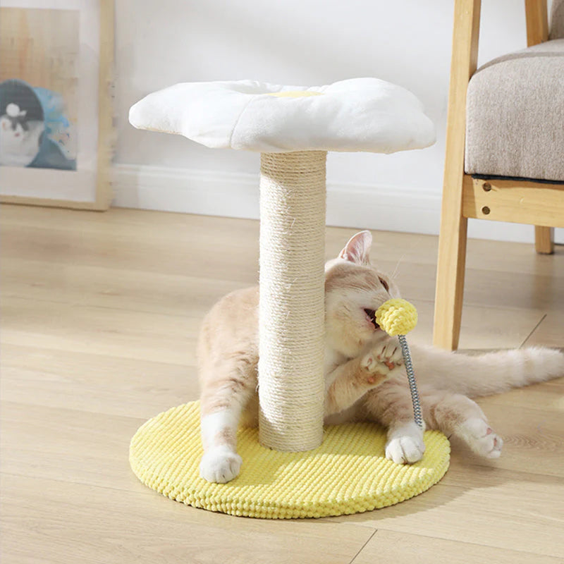 Ei Serie Katzenspiel- und Ruheplatz – Die perfekte Kombination für Ihre Katze