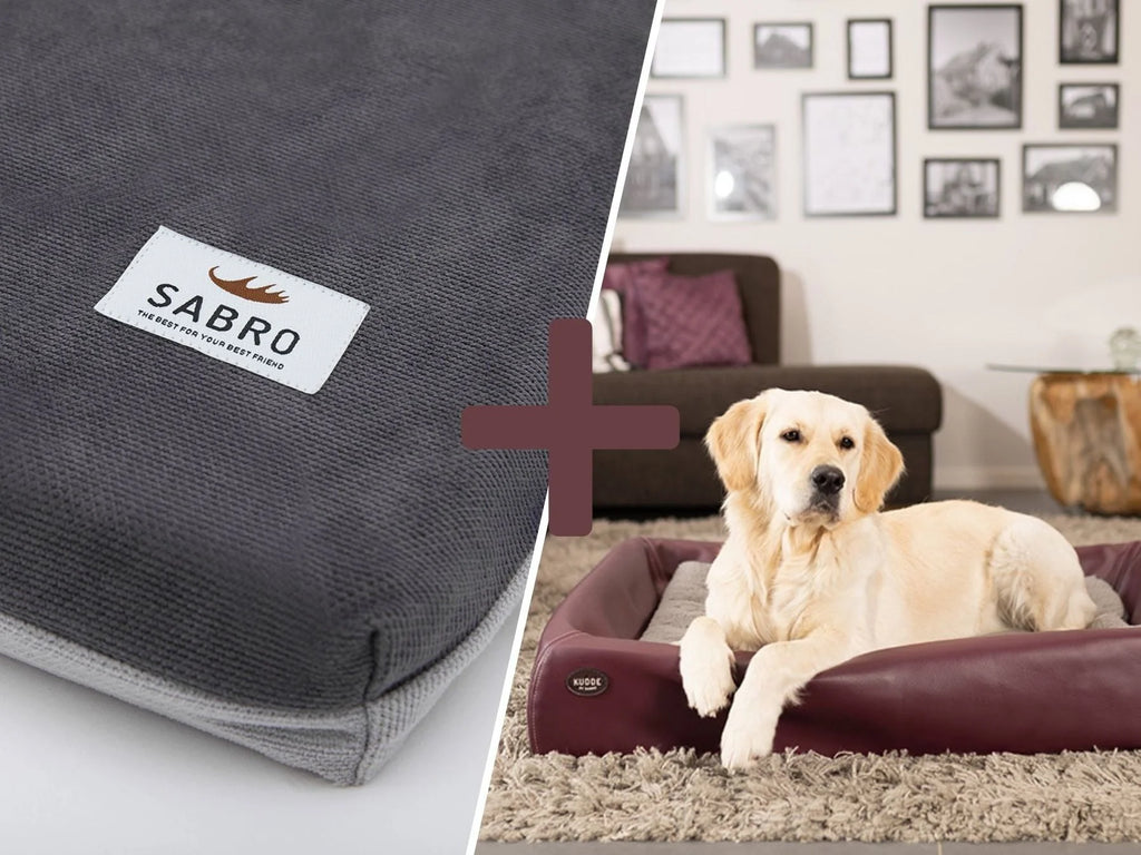 Pacchetto Orthopdisch-Plus | Cuccia KUDDE + Materassino Mumin Alltid