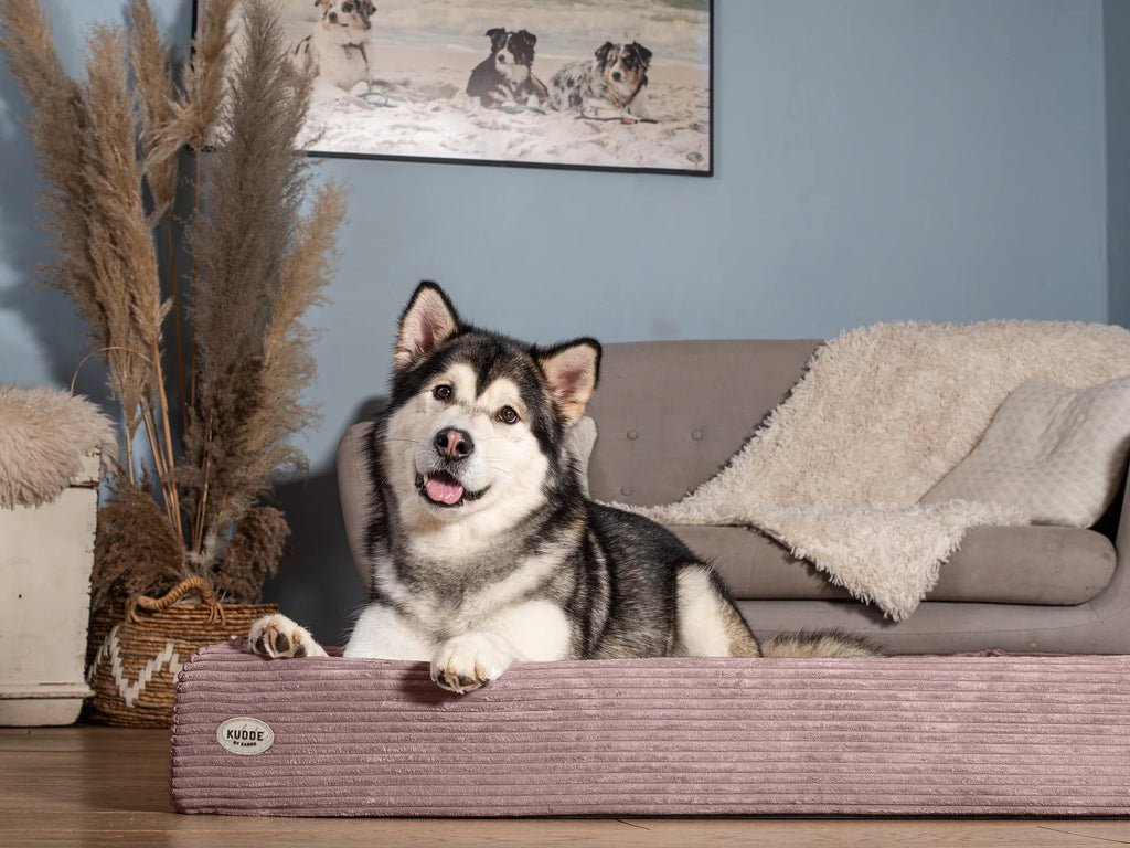 Hundebett KUDDE Cord