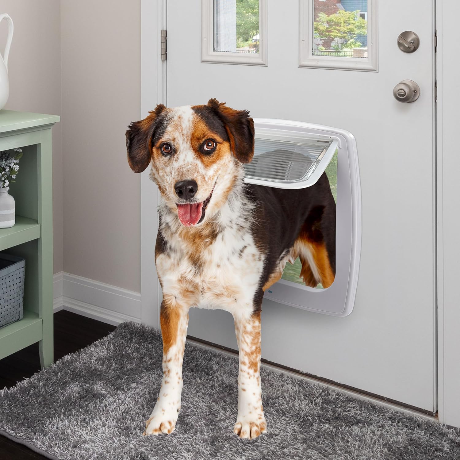 Ferplast Gattaiola per Cani di Taglia Media, Gattaiola per Gatti, Sportello per Animali Domestici a 4 Vie con Ingresso e Uscita Controllabili, con Protezione dalle Correnti d'Aria, Tunnel Completo, Sportello per Cani Swing 11, Grigio