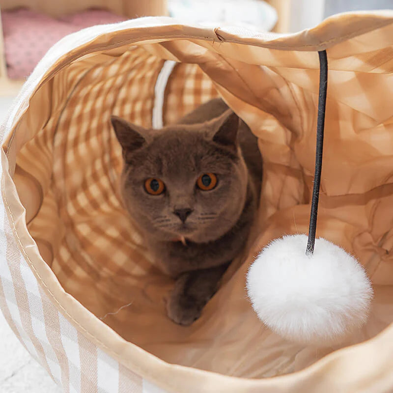 CatComfort - Faltbarer Katzentunnel für Spielspa und Entspannung