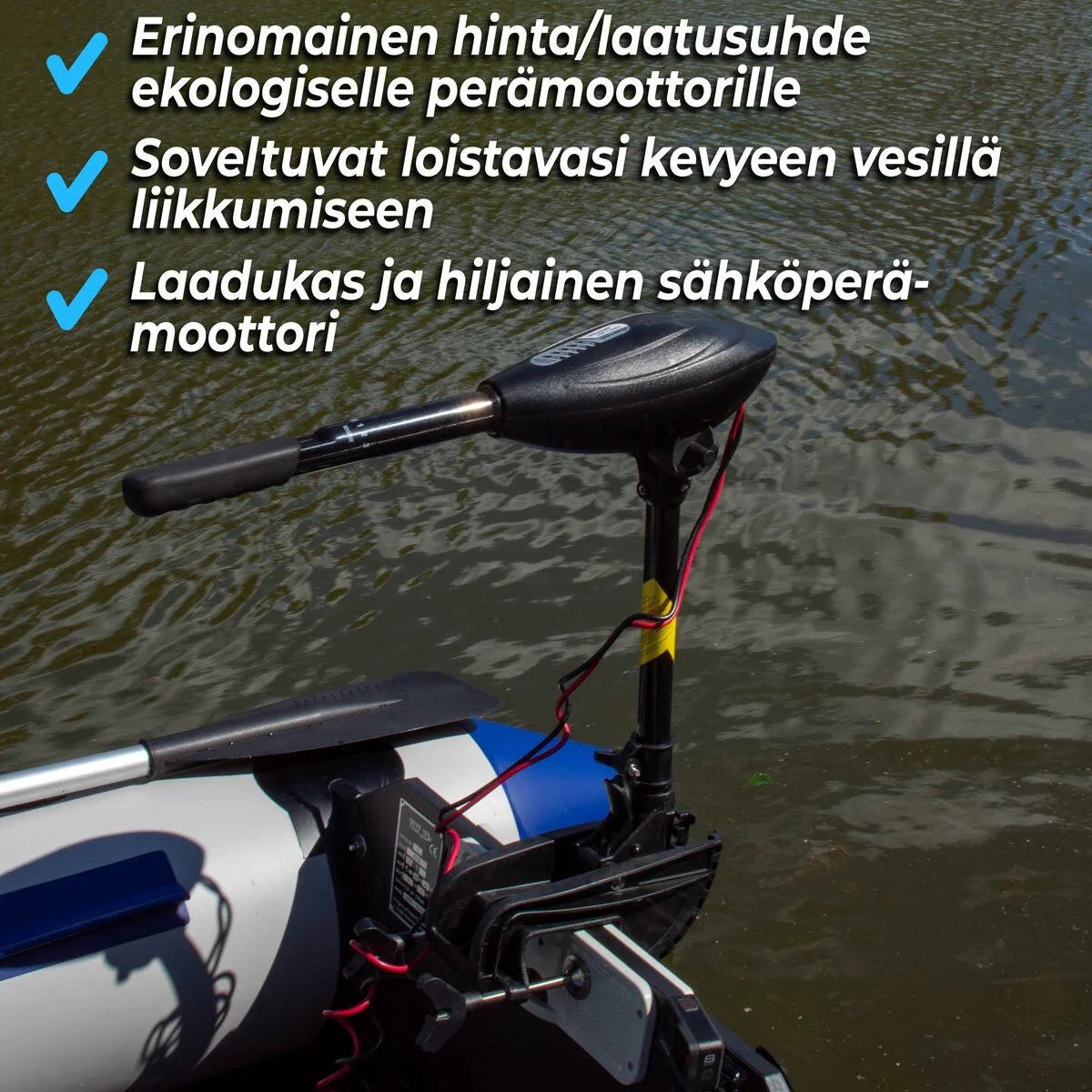Deep Sea Elektro auenborder Cruise 55LBS