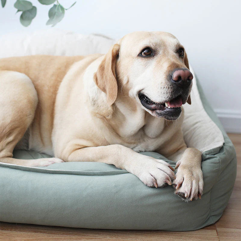 Lussuoso letto per cani in pelle scamosciata – Comfort morbido e profondo per un sonno riposante