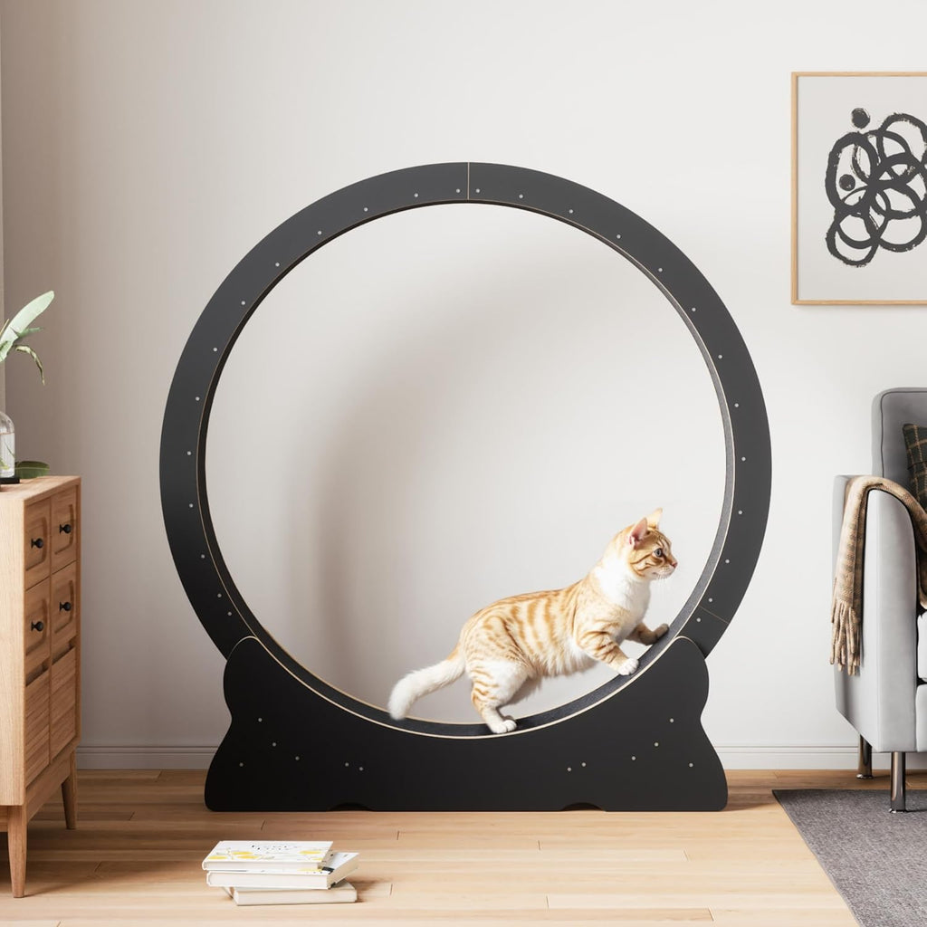 Mondeer Ruota per gatti da interno, tapis roulant da 110 cm con tappeto rimovibile, ruota da corsa in legno per gatti di taglia piccola, media e grande, attrezzo per fitness e perdita di peso, nero